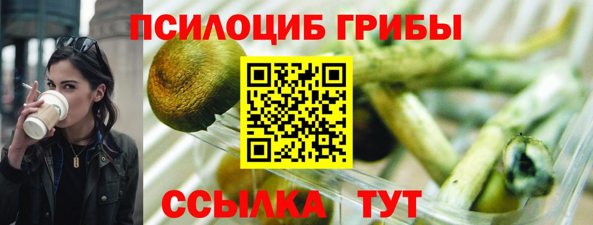 Галлюциногенные грибы GOLDEN TEACHER Иваново